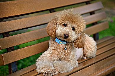 TGA2022：MMORPG《蓝色协议》公布新预告